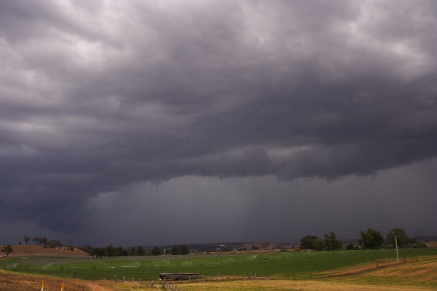 shelfcloud shelf_cloud : Singleton, NSW   24 December 2006