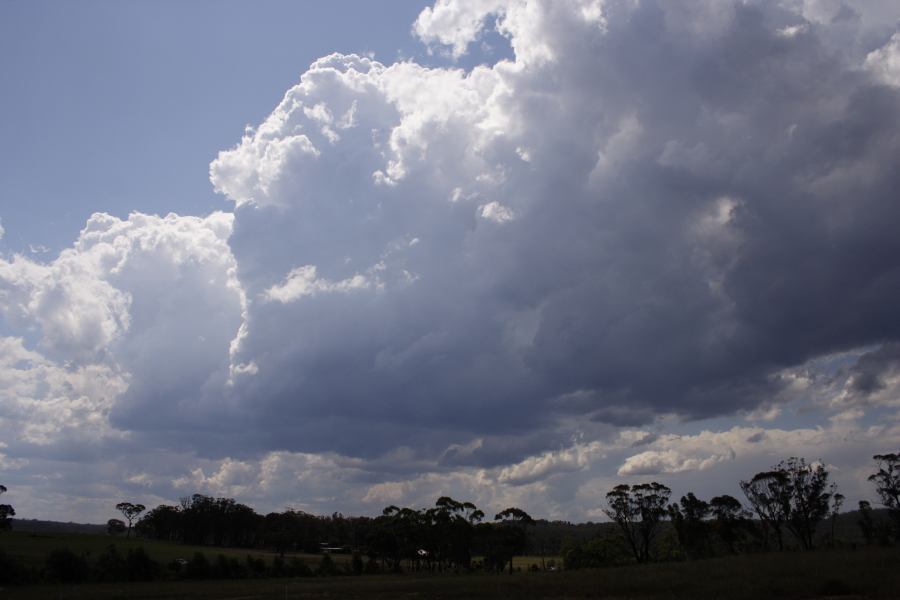 cumulus congestus : Mittagong, NSW   28 December 2006