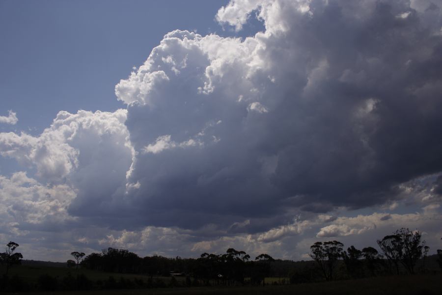 cumulus congestus : Mittagong, NSW   28 December 2006