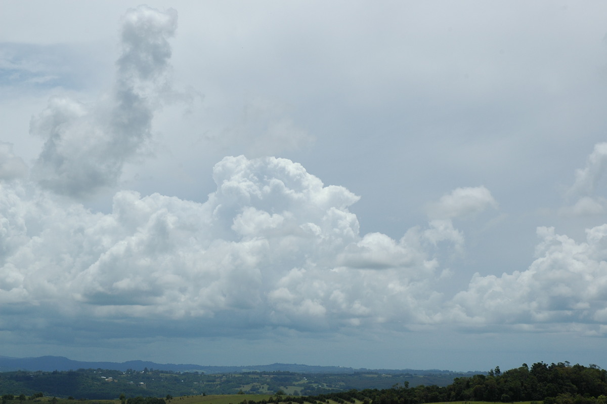 cumulus congestus : McLeans Ridges, NSW   28 December 2006