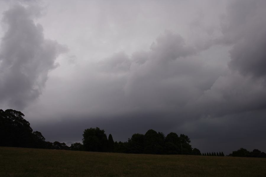 cumulonimbus thunderstorm_base : Mt Irvine, NSW   29 December 2006