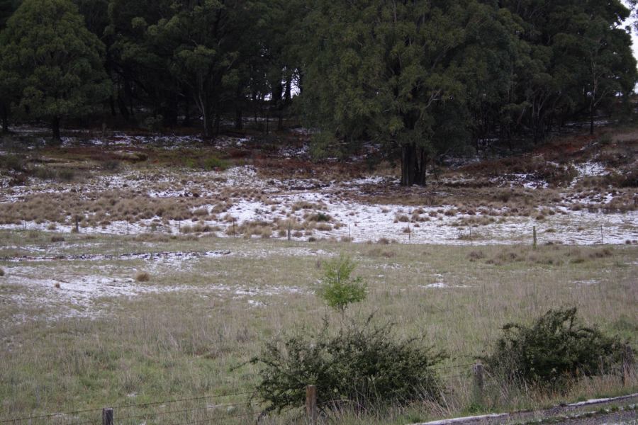 hailstones hail_stones : near Sunny Corner Yetholme, NSW   30 December 2006