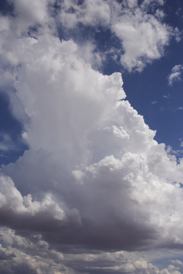 thunderstorm cumulonimbus_incus : 20km E of Hay, NSW   31 December 2006