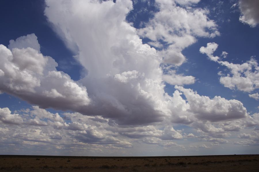 anvil thunderstorm_anvils : 20km E of Hay, NSW   31 December 2006