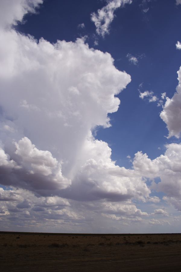 thunderstorm cumulonimbus_incus : 20km E of Hay, NSW   31 December 2006