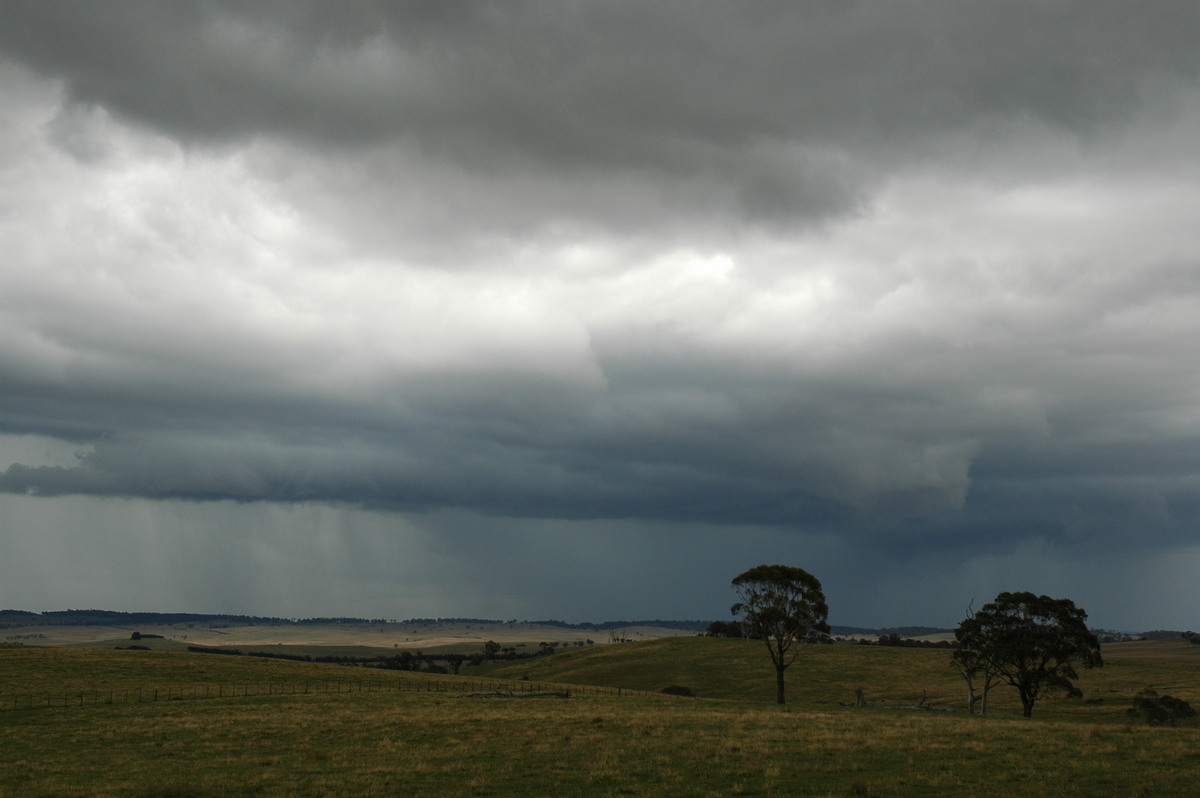 cumulonimbus thunderstorm_base : near Ebor, NSW   31 December 2006