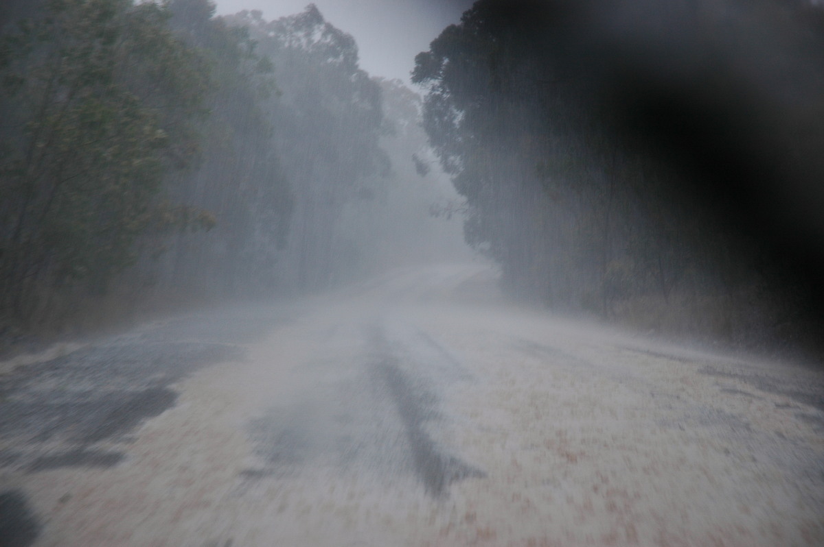 precipitation precipitation_rain : near Ebor, NSW   31 December 2006