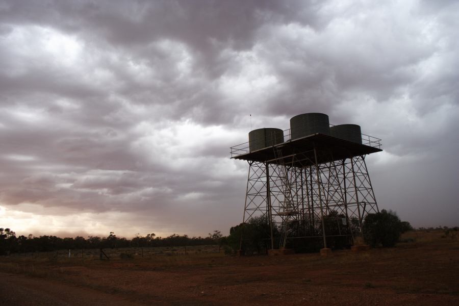 cumulonimbus thunderstorm_base : Hermidale, NSW   1 January 2007