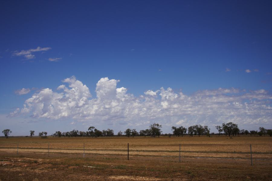 altocumulus castellanus : ~20km N of Barringun, NSW   2 January 2007