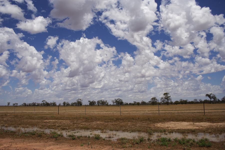 altocumulus castellanus : ~20km N of Barringun, NSW   2 January 2007