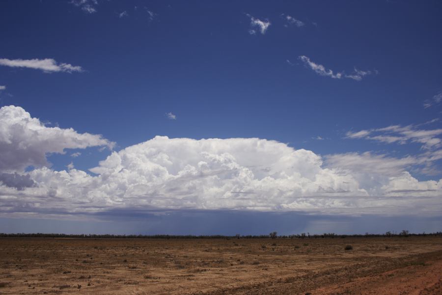 thunderstorm cumulonimbus_incus : ~20km N of Barringun, NSW   2 January 2007