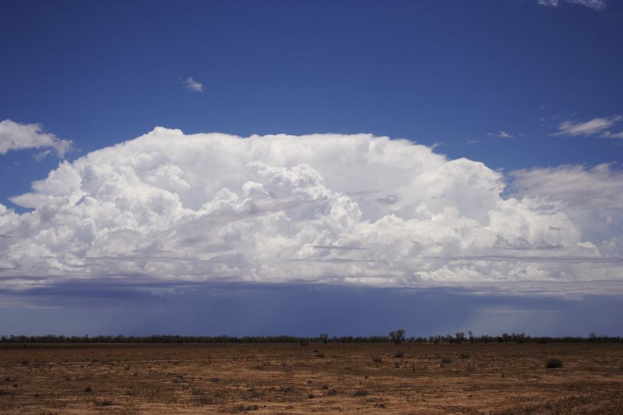 raincascade precipitation_cascade : ~20km N of Barringun, NSW   2 January 2007