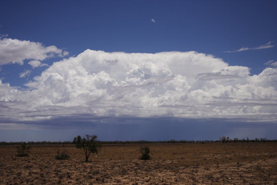 raincascade precipitation_cascade : ~20km N of Barringun, NSW   2 January 2007