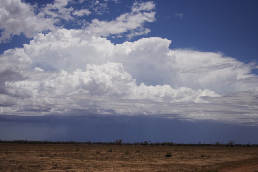 thunderstorm cumulonimbus_incus : ~20km N of Barringun, NSW   2 January 2007