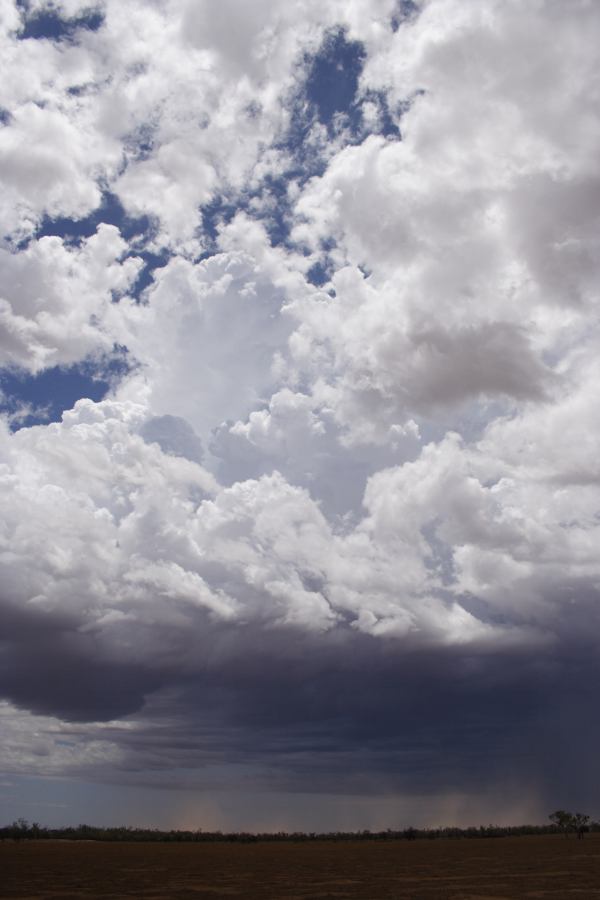 microburst micro_burst : ~30km N of Barringun, NSW   2 January 2007