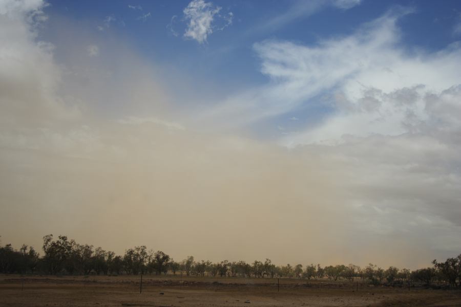 microburst micro_burst : ~10km N of Barringun, NSW   2 January 2007