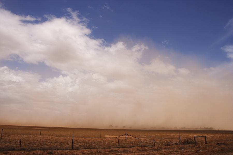 cumulus humilis : ~10km N of Barringun, NSW   2 January 2007