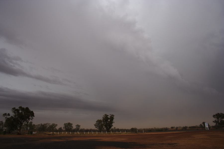 cumulonimbus supercell_thunderstorm : Barringun, NSW   2 January 2007