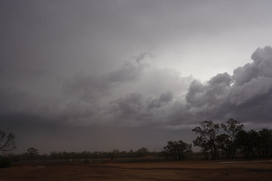 cumulonimbus thunderstorm_base : Barringun, NSW   2 January 2007