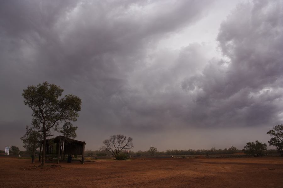 cumulonimbus supercell_thunderstorm : Barringun, NSW   2 January 2007