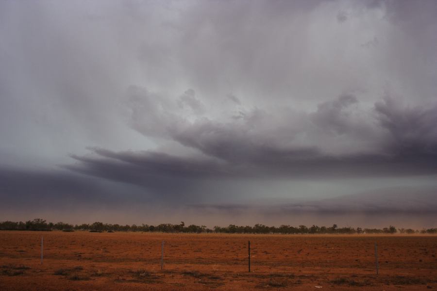 inflowband thunderstorm_inflow_band : 10km N of Barringun, NSW   2 January 2007