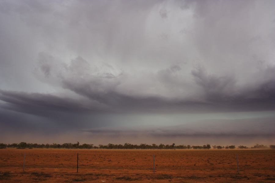 shelfcloud shelf_cloud : 10km N of Barringun, NSW   2 January 2007