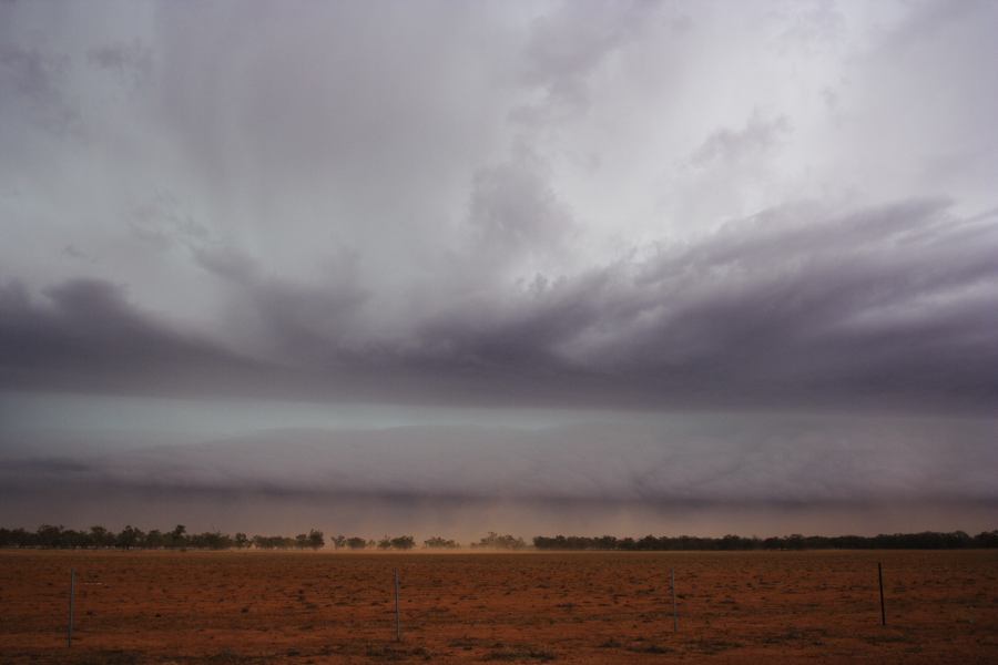 cumulonimbus supercell_thunderstorm : 10km N of Barringun, NSW   2 January 2007