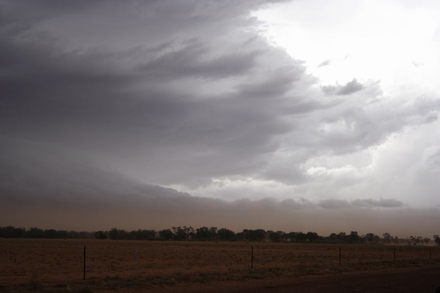 cumulonimbus supercell_thunderstorm : 10km N of Barringun, NSW   2 January 2007