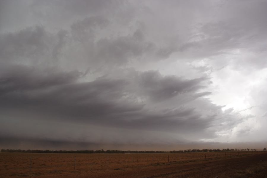 cumulonimbus supercell_thunderstorm : 10km N of Barringun, NSW   2 January 2007