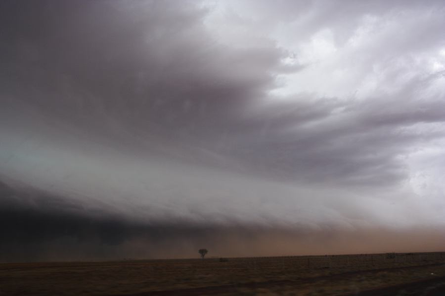 cumulonimbus supercell_thunderstorm : 10km N of Barringun, NSW   2 January 2007