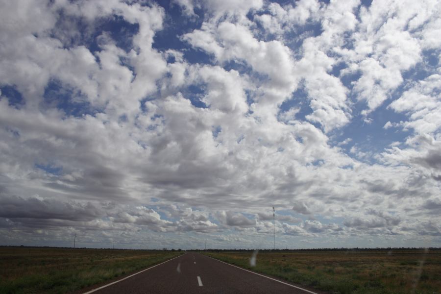 altocumulus castellanus : near Cunumulla, Qld   3 January 2007