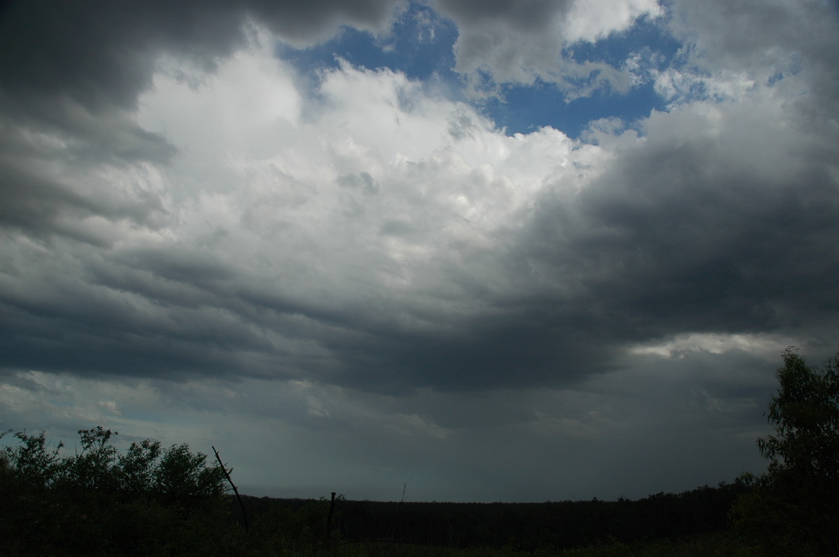 cumulus congestus : Whiporie, NSW   8 January 2007