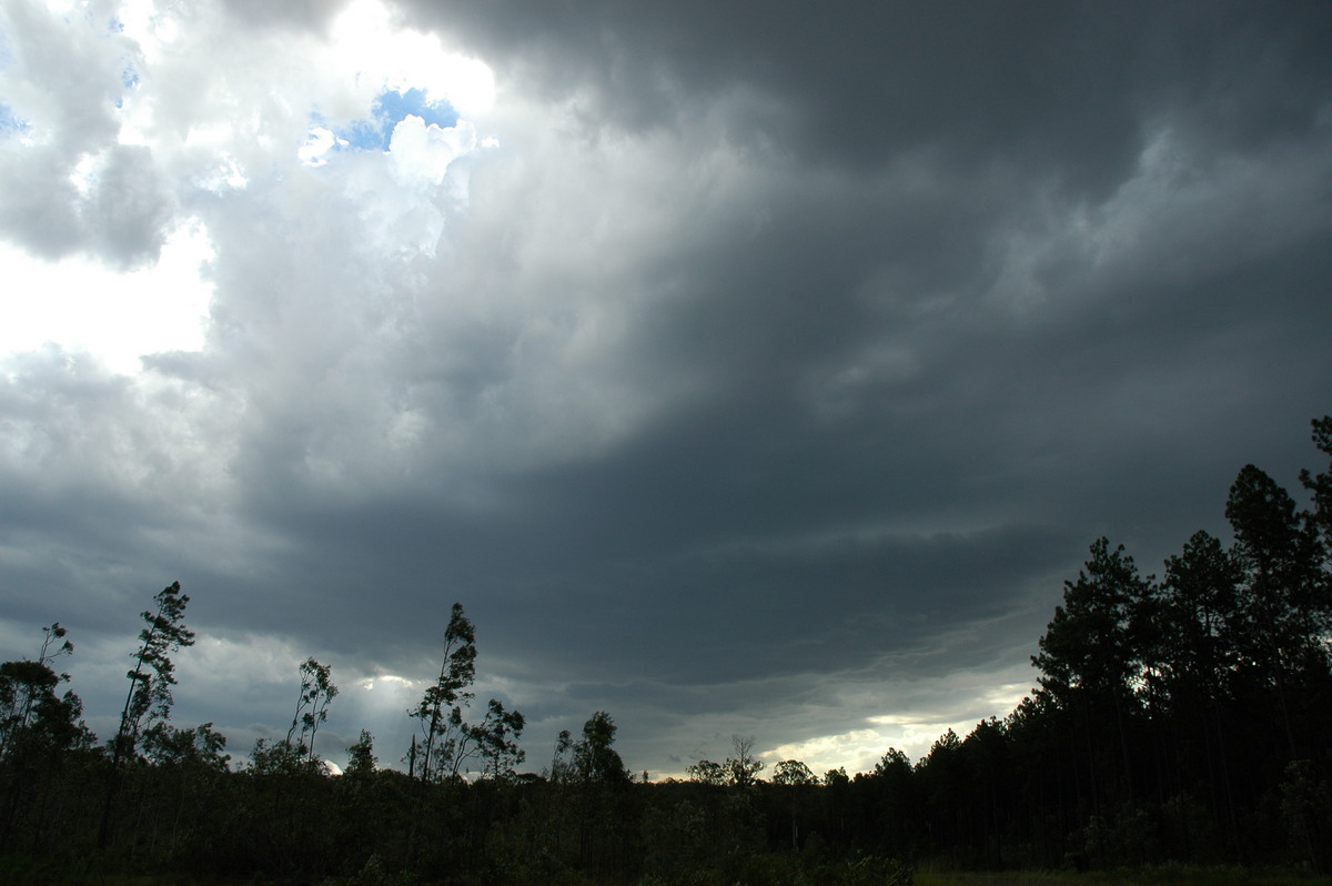 cumulonimbus thunderstorm_base : Whiporie, NSW   8 January 2007