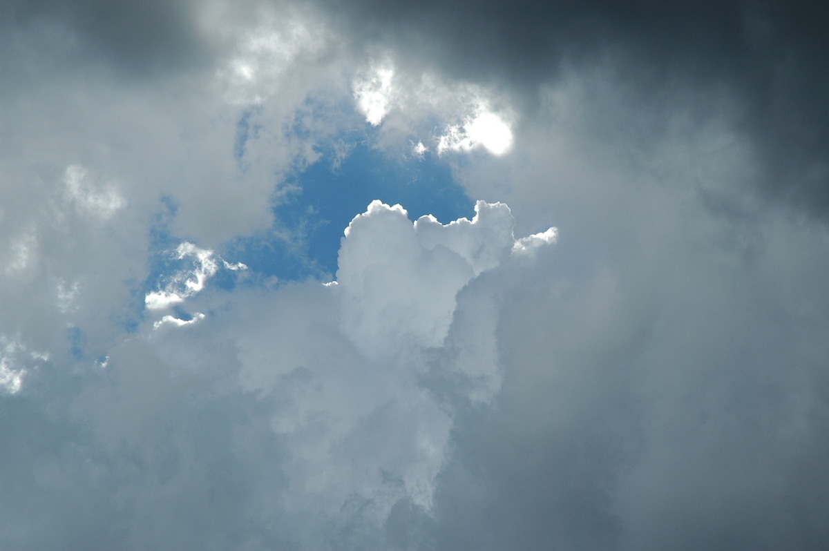 cumulus congestus : Whiporie, NSW   8 January 2007