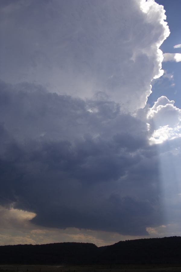 wallcloud thunderstorm_wall_cloud : Castlereagh, NSW   12 January 2007