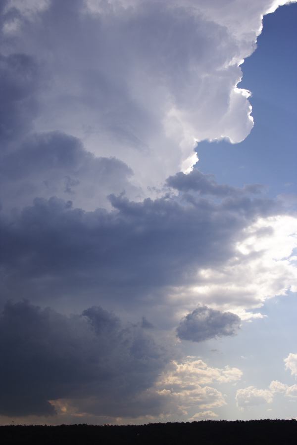 updraft thunderstorm_updrafts : Castlereagh, NSW   12 January 2007