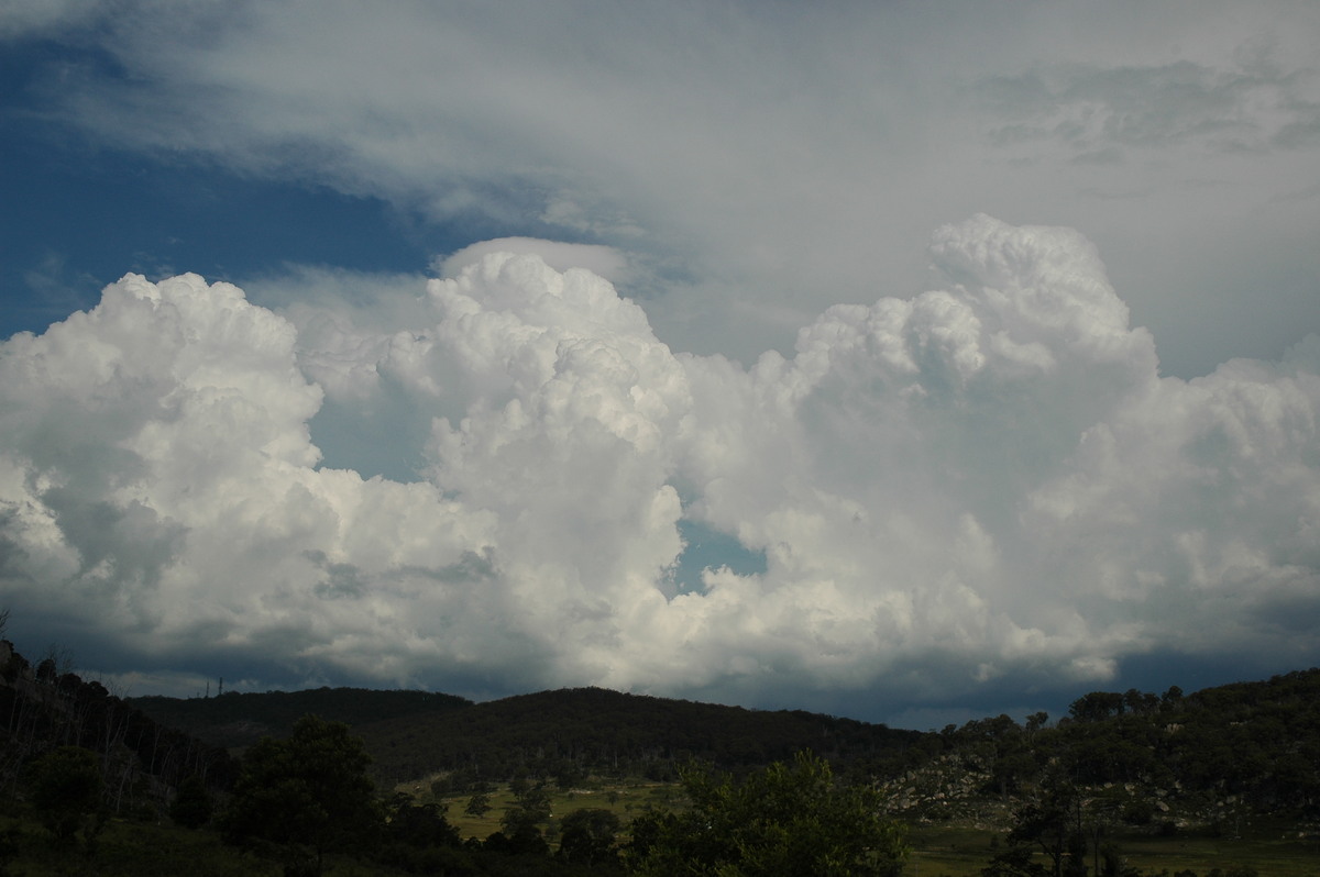 thunderstorm cumulonimbus_calvus : Tenterfield, NSW   12 January 2007