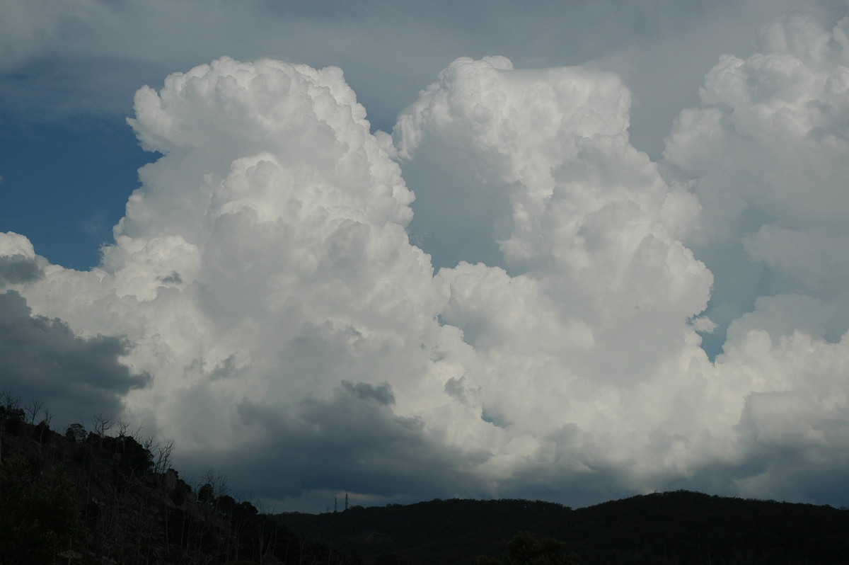 updraft thunderstorm_updrafts : Tenterfield, NSW   12 January 2007