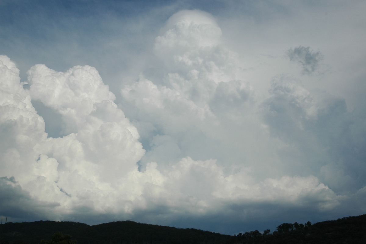 updraft thunderstorm_updrafts : Tenterfield, NSW   12 January 2007