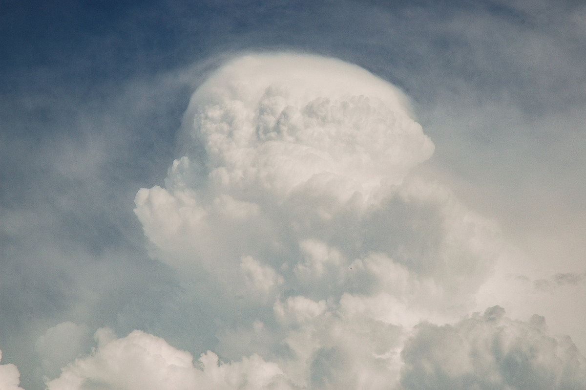 pileus pileus_cap_cloud : Tenterfield, NSW   12 January 2007