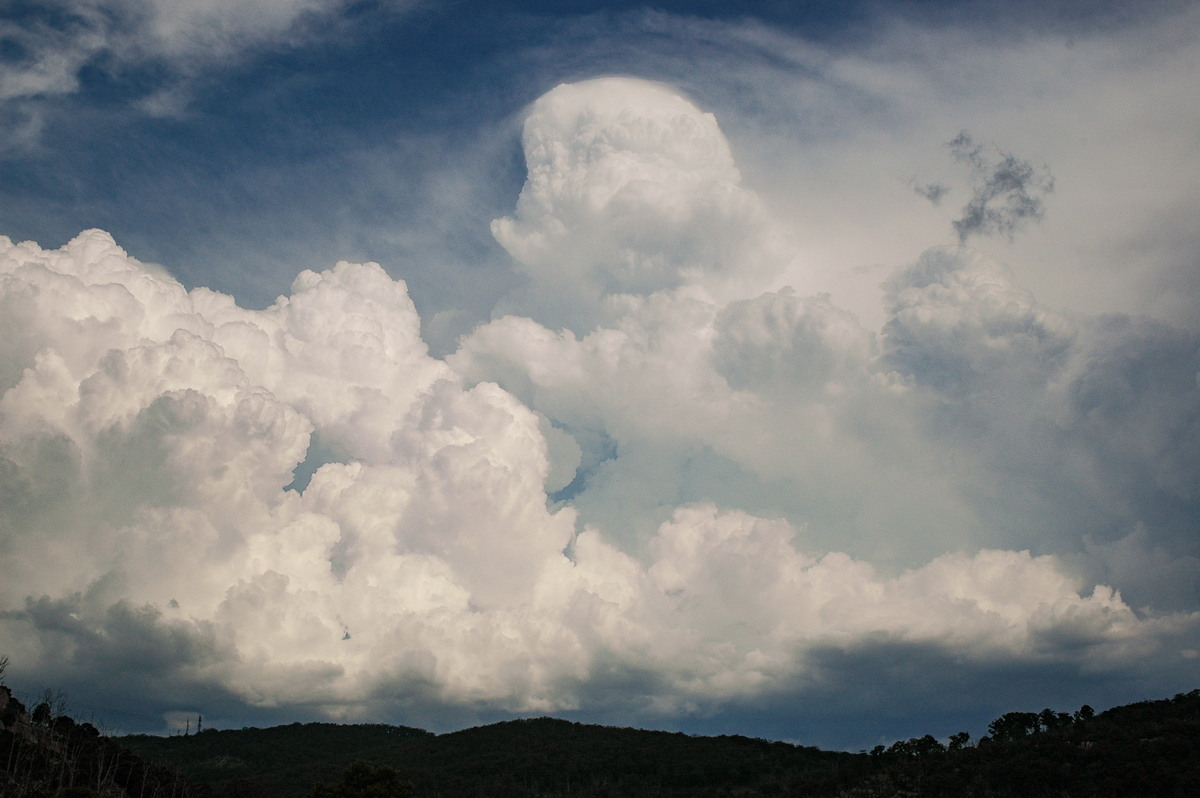 pileus pileus_cap_cloud : Tenterfield, NSW   12 January 2007