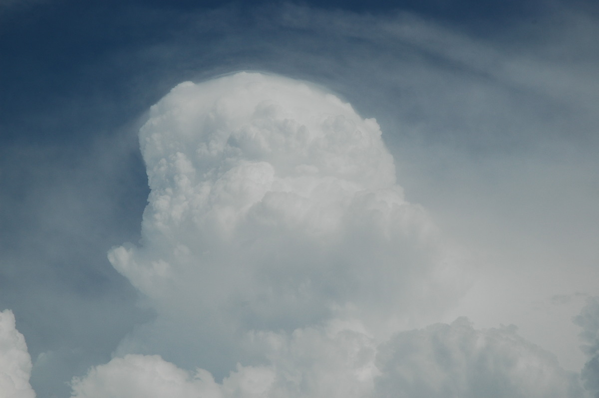 updraft thunderstorm_updrafts : Tenterfield, NSW   12 January 2007