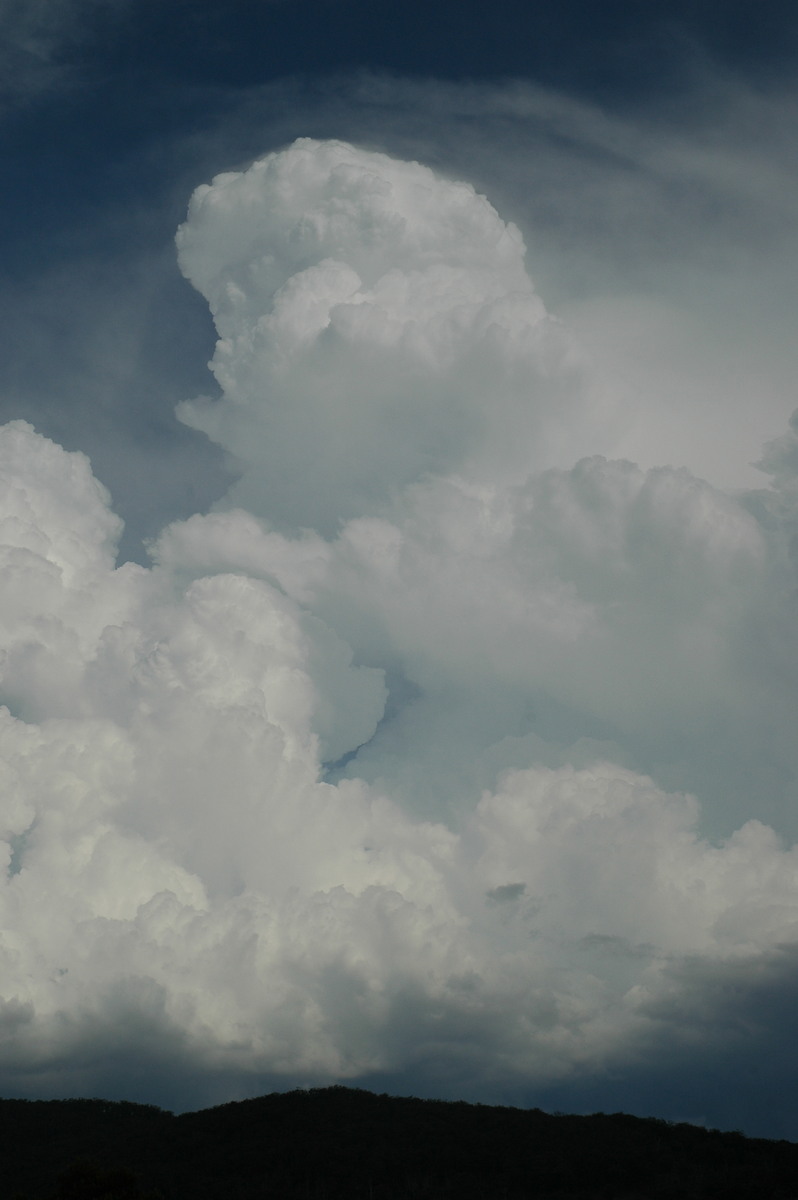 thunderstorm cumulonimbus_calvus : Tenterfield, NSW   12 January 2007