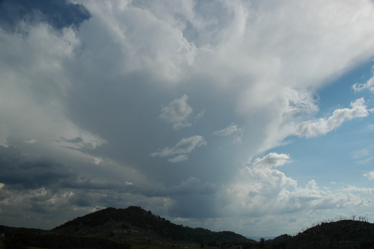 thunderstorm cumulonimbus_incus : Tenterfield, NSW   12 January 2007