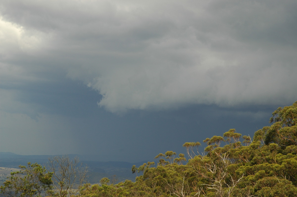 shelfcloud shelf_cloud : Tenterfield, NSW   12 January 2007