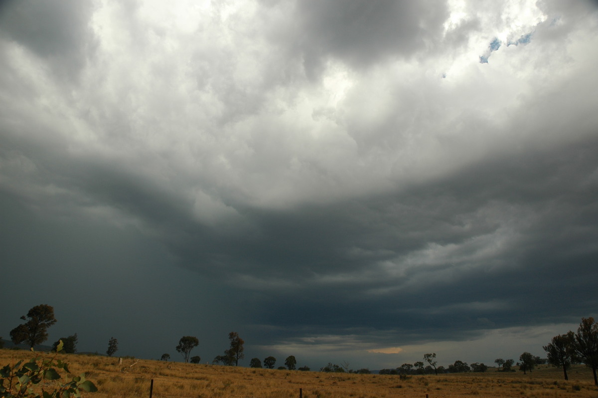 cumulonimbus thunderstorm_base : W of Tenterfield, NSW   12 January 2007