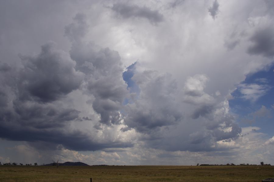 thunderstorm cumulonimbus_incus : Deepwater, NSW   13 January 2007