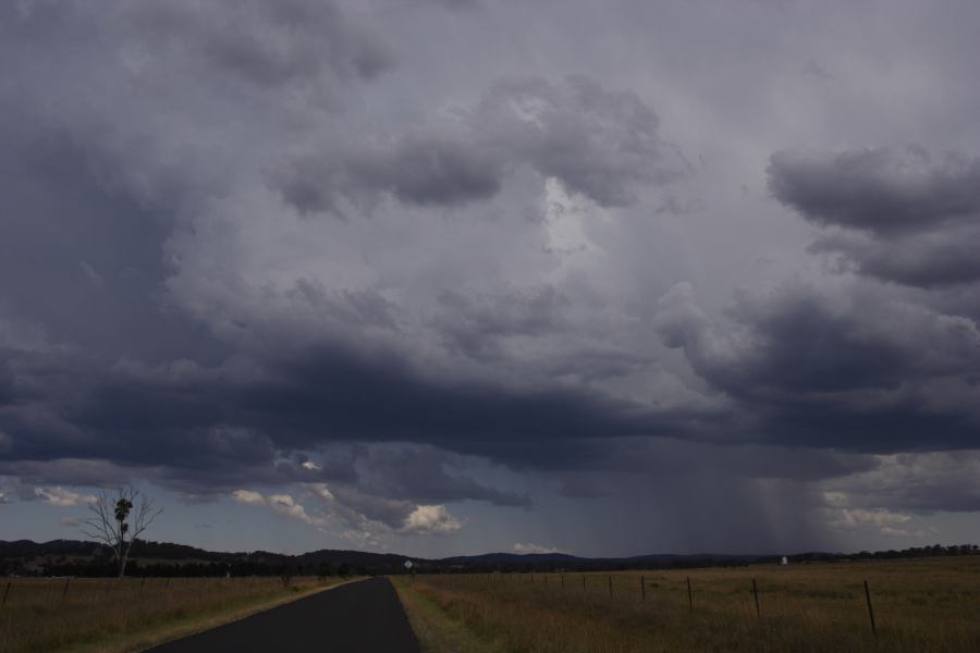 cumulonimbus thunderstorm_base : Deepwater, NSW   13 January 2007