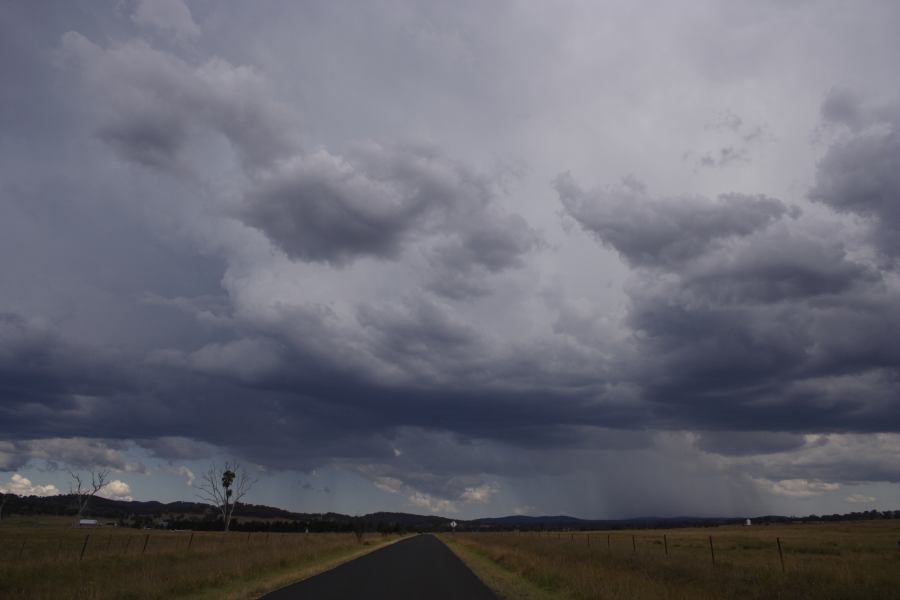 cumulonimbus thunderstorm_base : Deepwater, NSW   13 January 2007