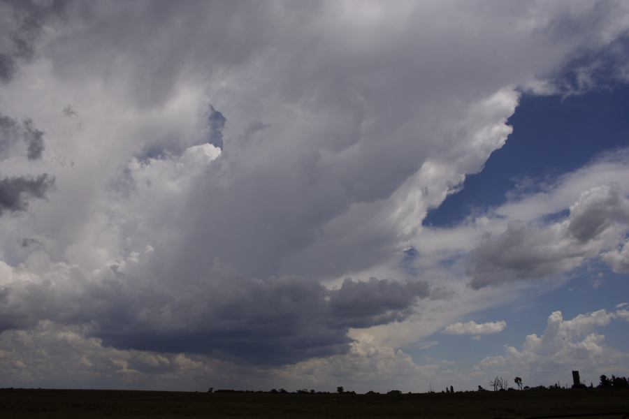 thunderstorm cumulonimbus_incus : Deepwater, NSW   13 January 2007